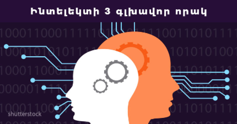 Մի քանի հիմնական որակ, որոնք խոսում են նրա բարձր ինտելեկտի մասին
