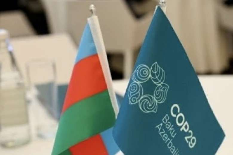 Բաքվում COP29 համաժողովի անցկացման նպատակը Ղարաբաղում էթնիկ զտումներն արդարացնելն է. Fridays For Future